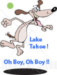Dog Friendly Tahoe