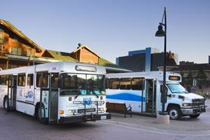 BlueGO Buses